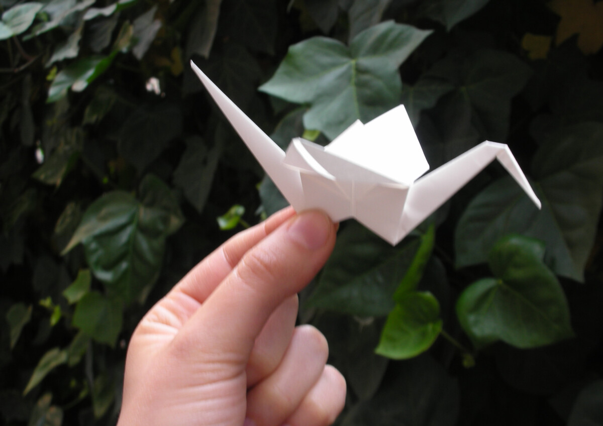 CORSO Base di ORIGAMI per PAPER ARTIST 
ogni Sabato mattina da Ottobre a Maggio 
 9.30-12.30
